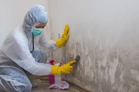 Best Mold Remediation for Vacation Homes  in Blue Ridge, AL